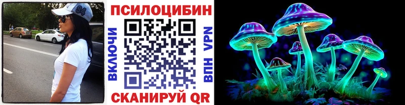 закладки  Верхний Тагил  Псилоцибиновые грибы MAGIC MUSHROOMS 